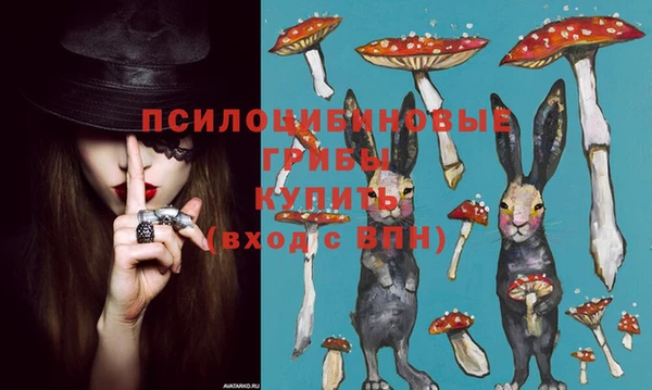 синтетический гашиш Алексин