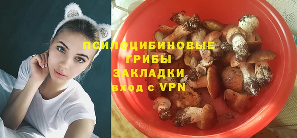 mdpv Алексеевка